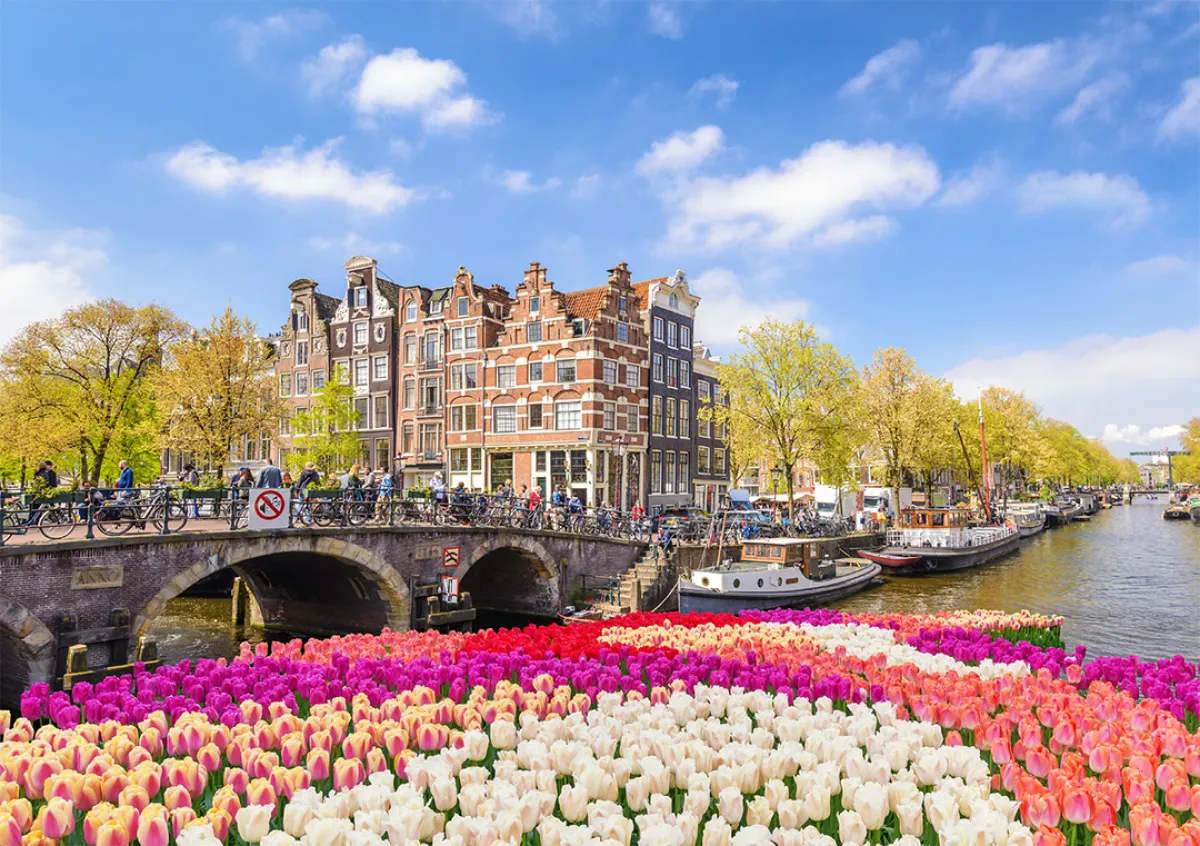 متعة السياحة في أمستردام خلال الربيع