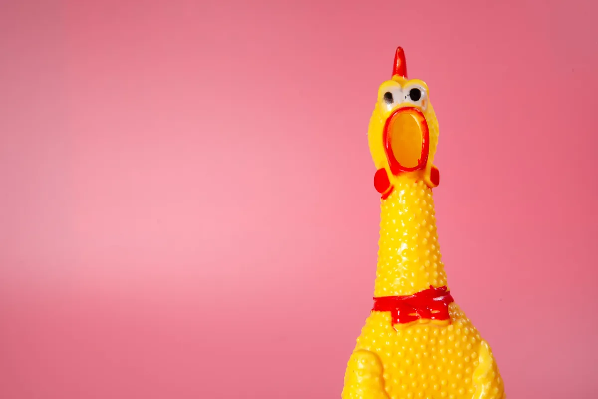 صورة تعبيرية عن الصياح