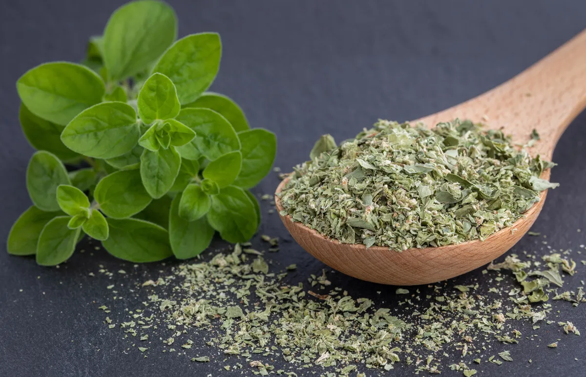 طريقة استخدام البردقوش للتخسيس