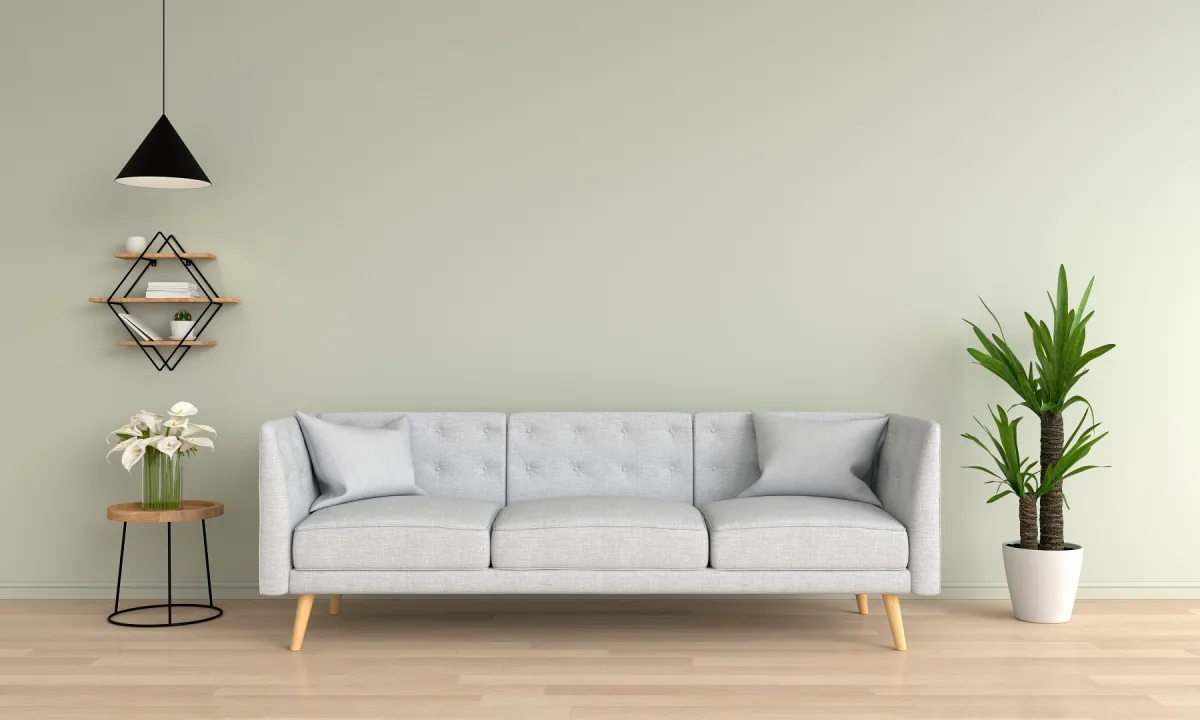 النباتات الداخلية جذابة في الديكور