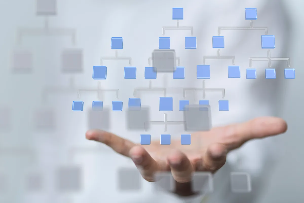 هناك فروق بين الهندرة وإعادة الهيكلة 