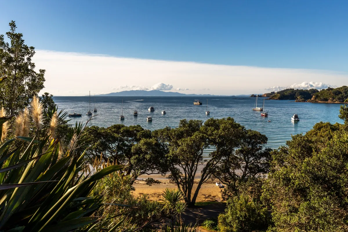 جزيرة واهيكي