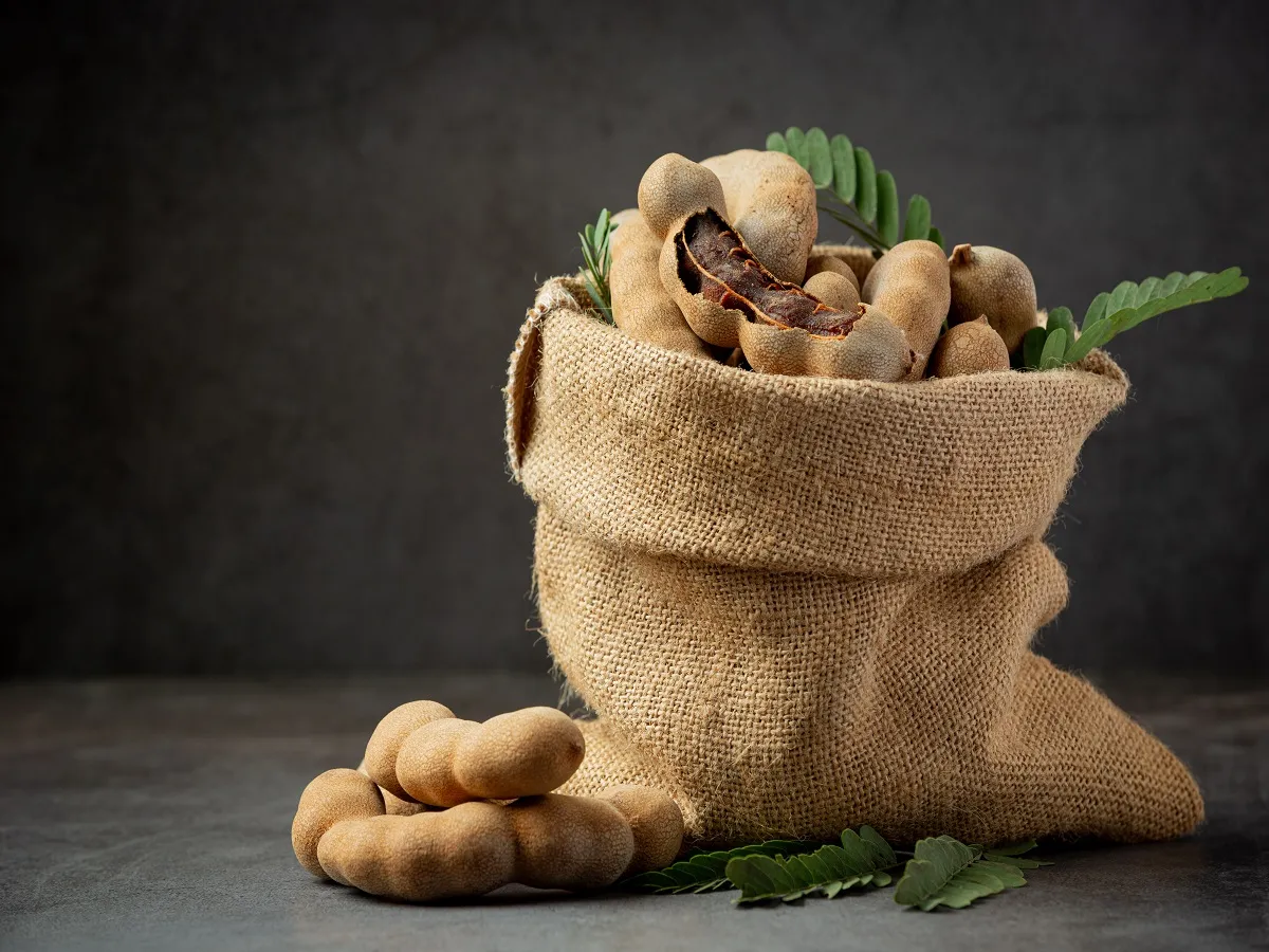 صورة للتمر الهندي