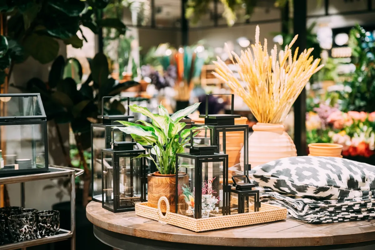 الفوانيس الشفافة جذابة