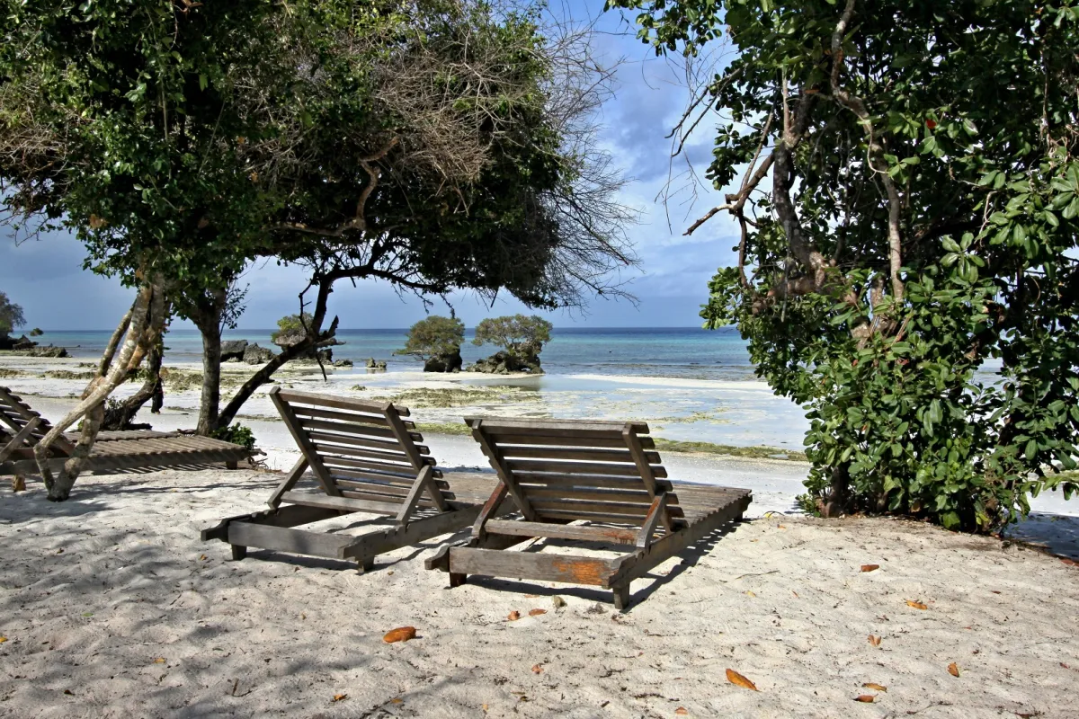 جزيرة بيمبا