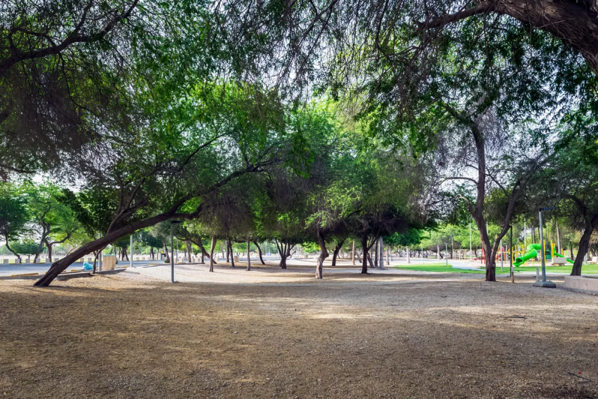 حديقة الدفي 