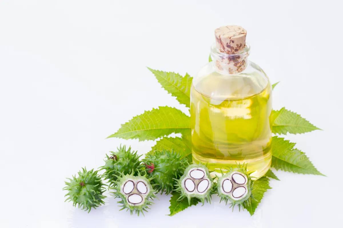 صورة زيت الخروع