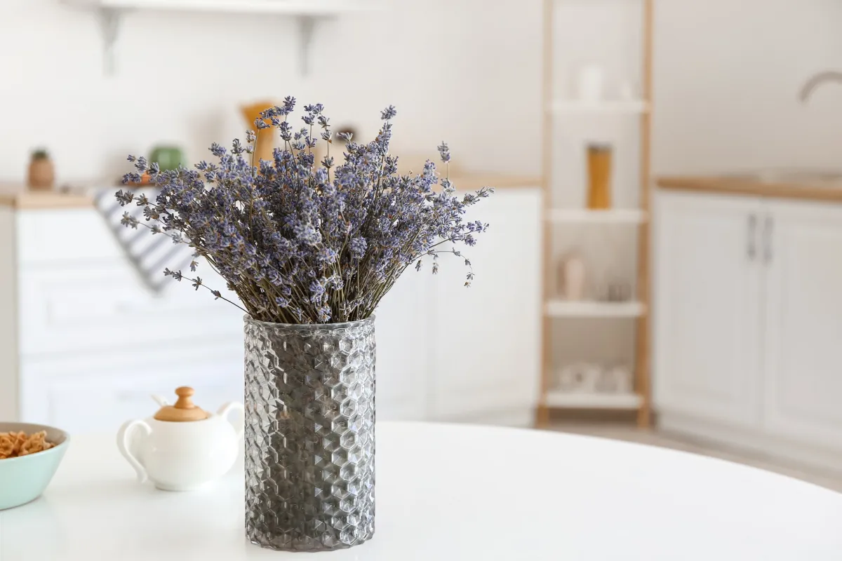  نبتة الخزامى