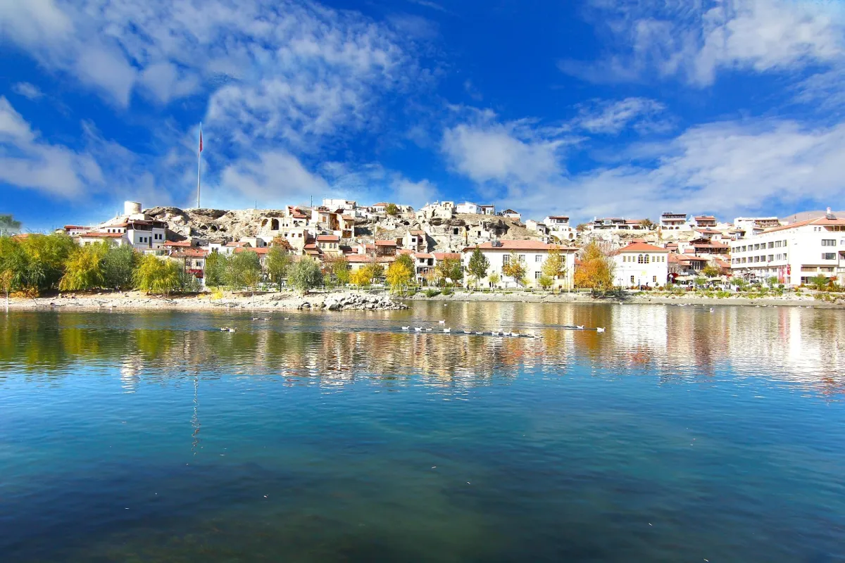 بلدة افانوس