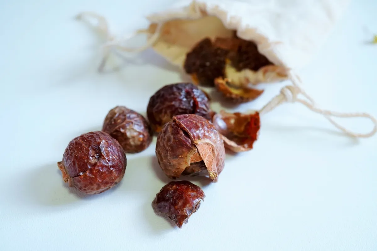 صورة أكياس الفاكهة المجففة