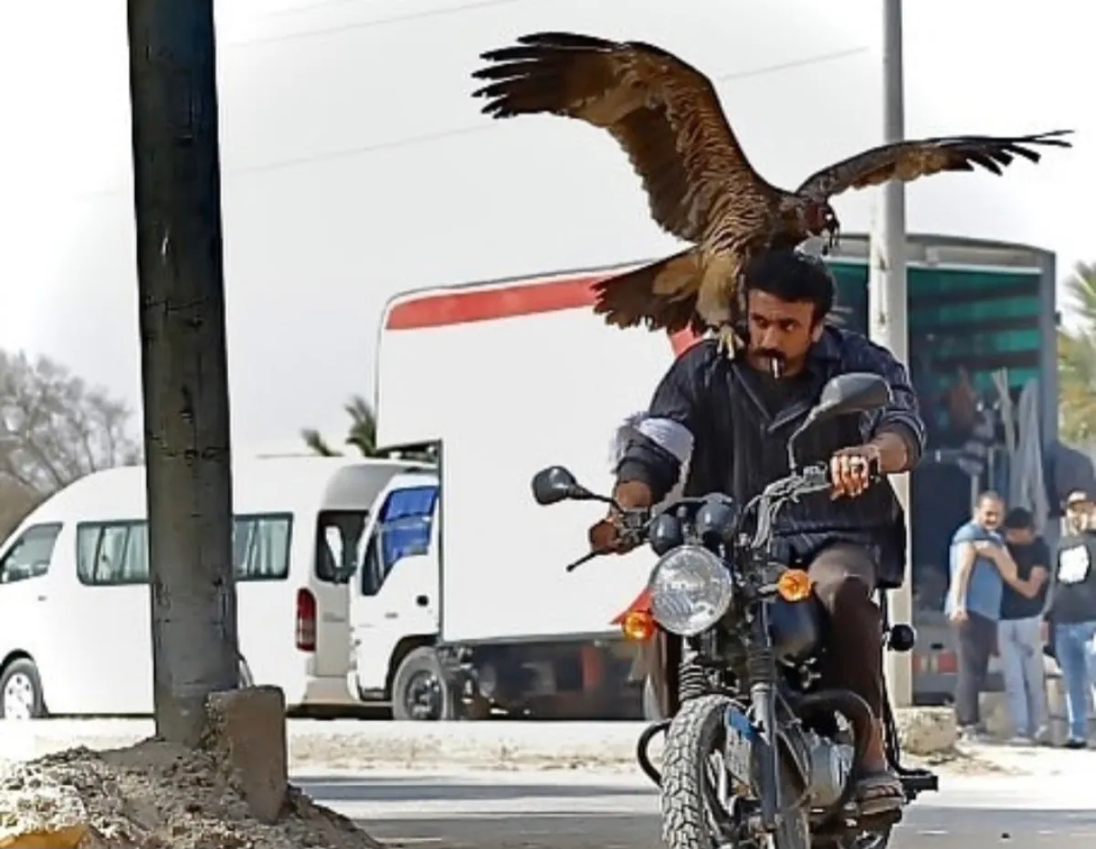 أحمد العوضي - الصورة من الحساب الخاص على إنستغرام