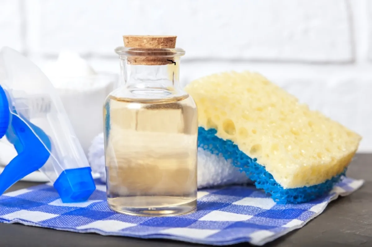 الخل الأبيض