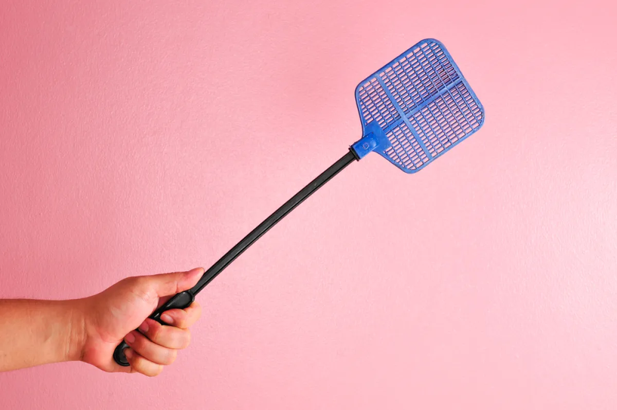 المضرب اليدوي لطرد الناموس من الغرفة، بصورة تقليدية