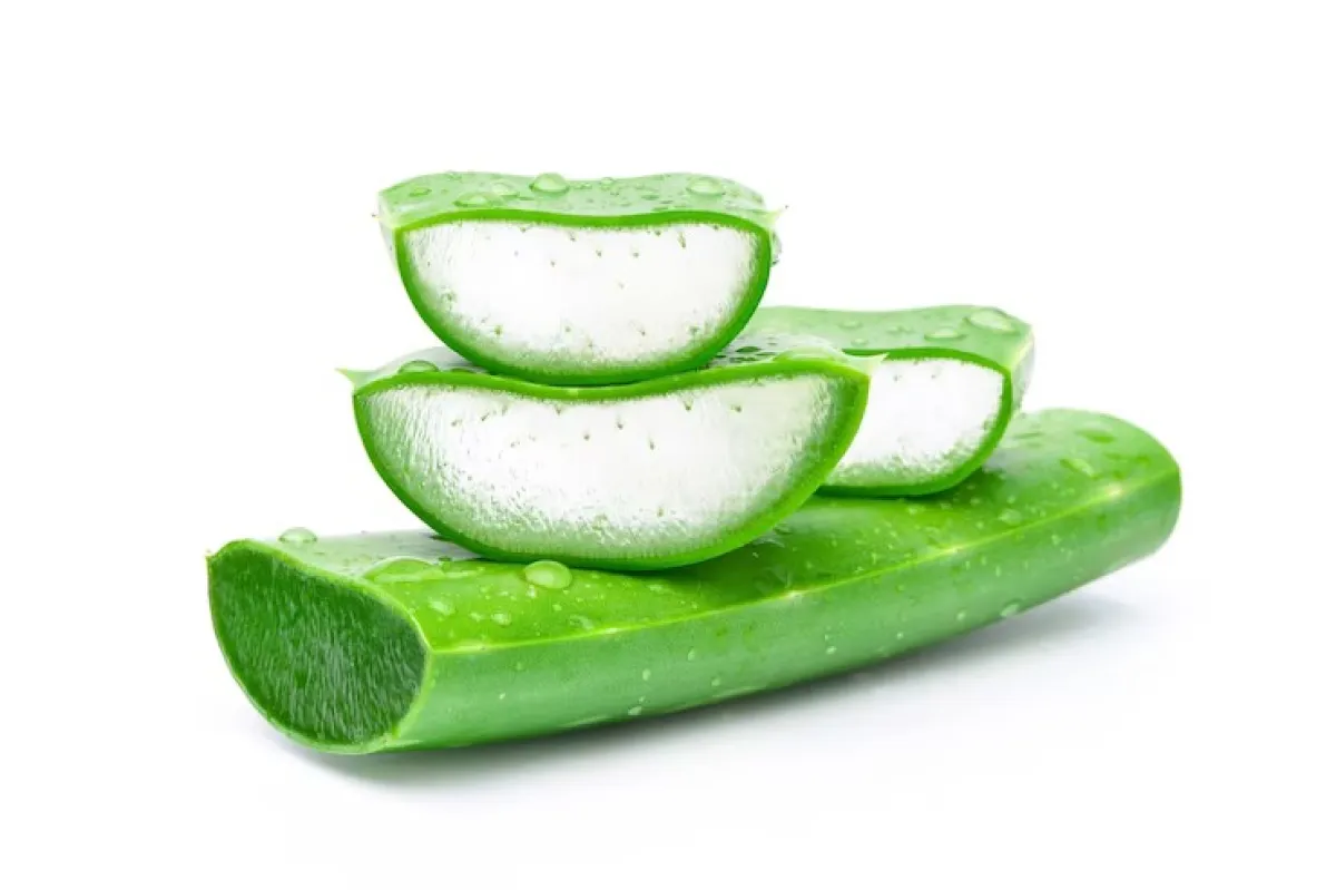 الألوفيرا وزيت اللوز الحلو لتنعيم الشعر