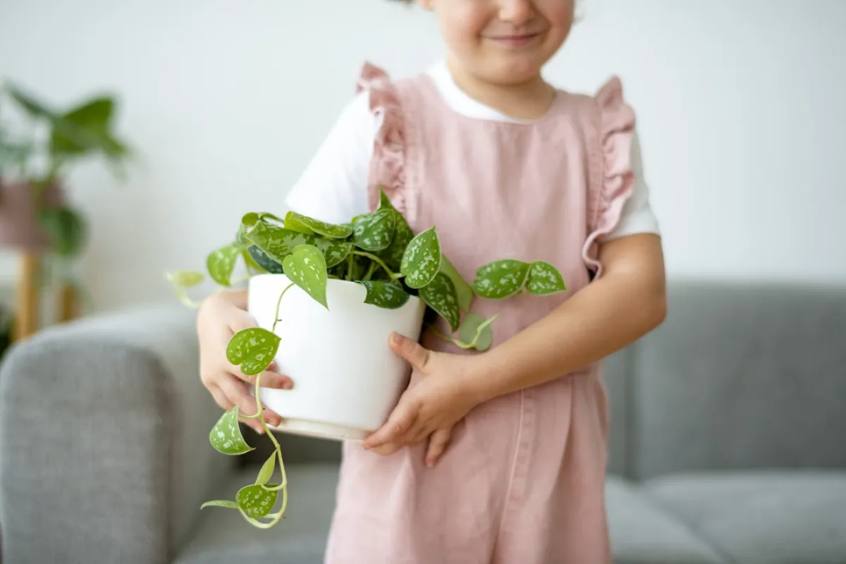 صورة لفتاة تحمل نبات