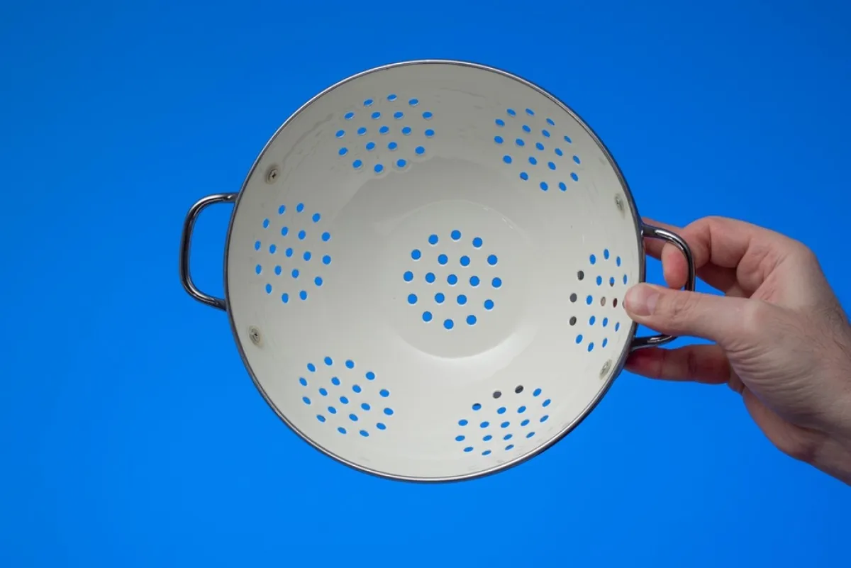 المنخل الشبكي