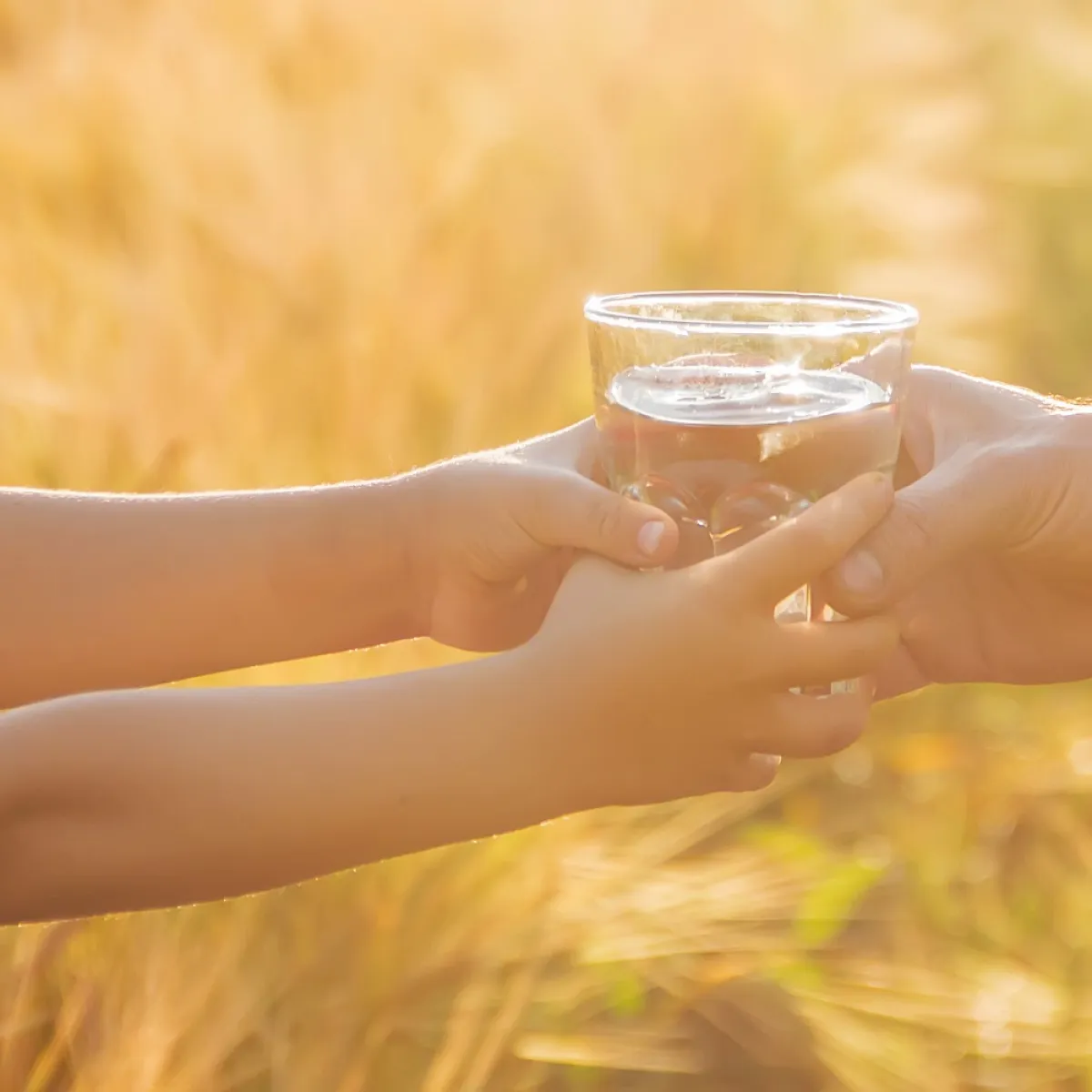 صورة تعبيرية عن قيمة الماء الحيوية
