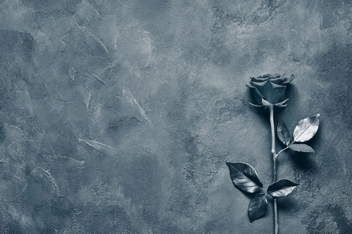 وفاة الممثلة جودي فاريل عن عمر 80 عاماً- الصورة من shutterstock