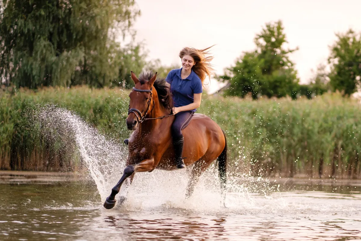 فوائد ركوب الخيل النفسية لا تُحصى.. لا تترددي في تجربتها (المصدر: Adobe.Stock)