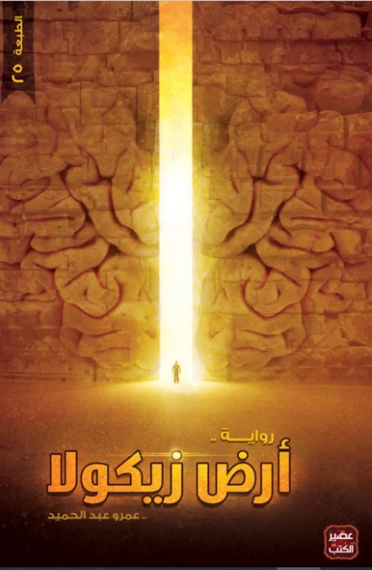 أكثر الروايات قراءة