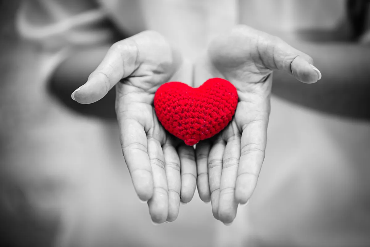 صورة ليد تحمل قلبا