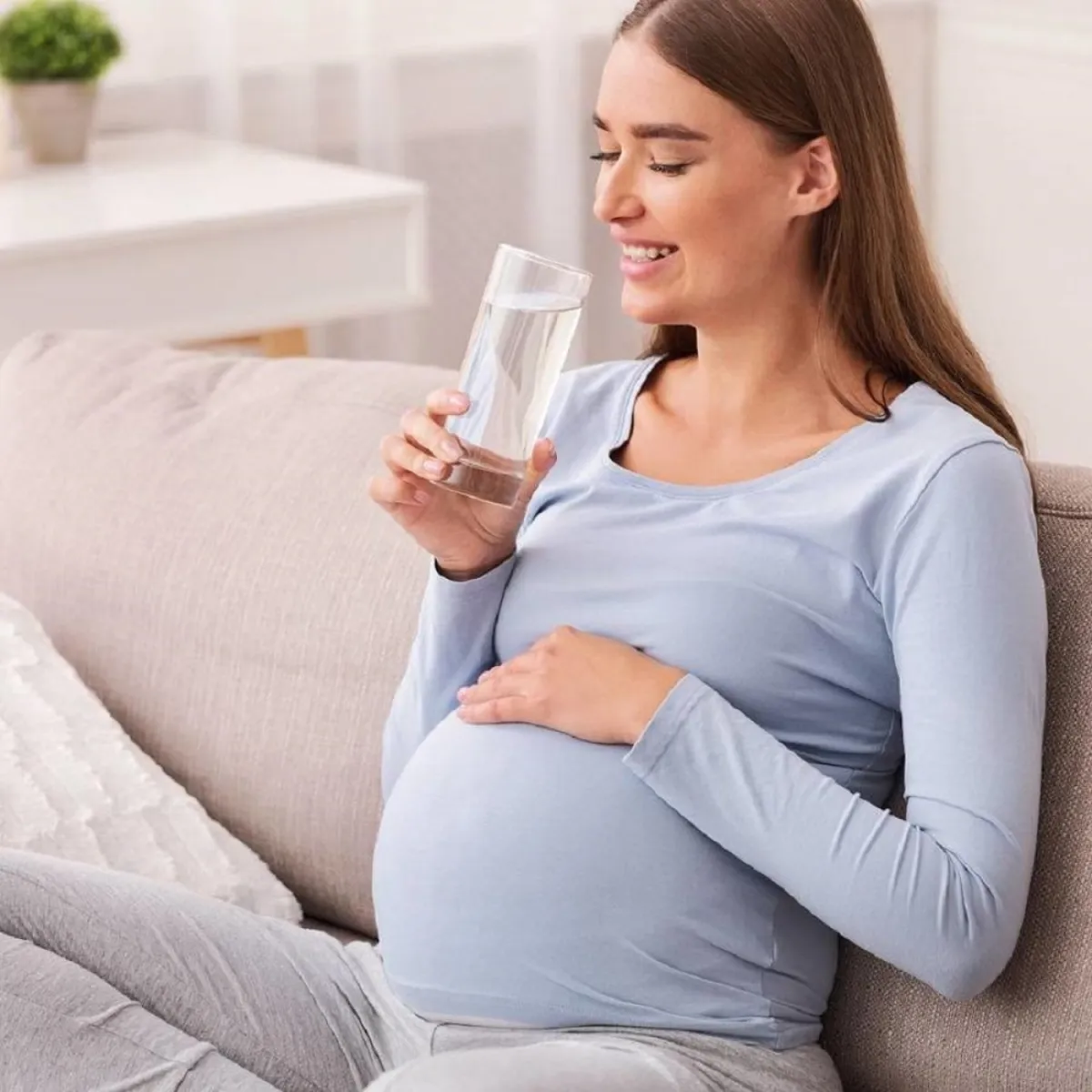 صورة لحامل تشرب الماء