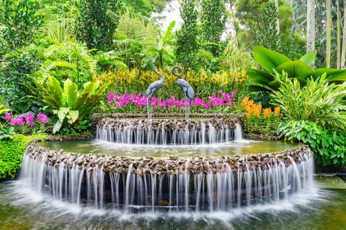 لقطة للنافورة في حديقة الأوركيد الوطنية