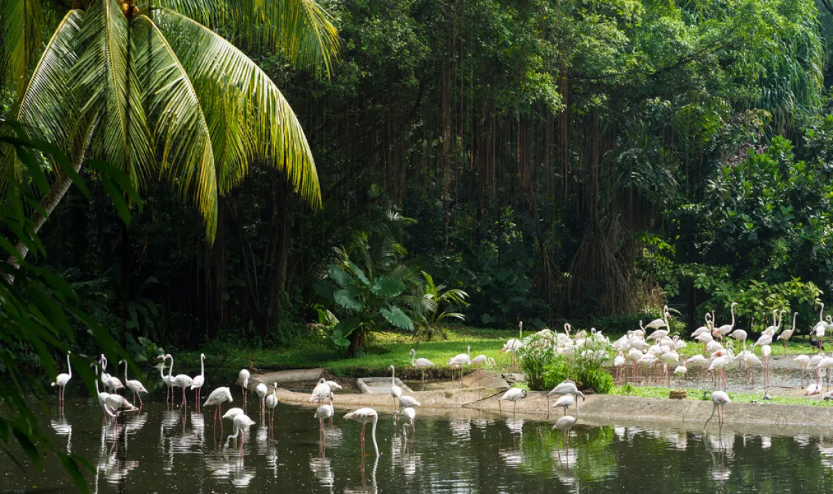 جانب من حديقة «جورونج بيرد»