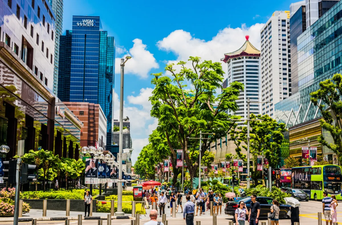 طريق «أورشارد»