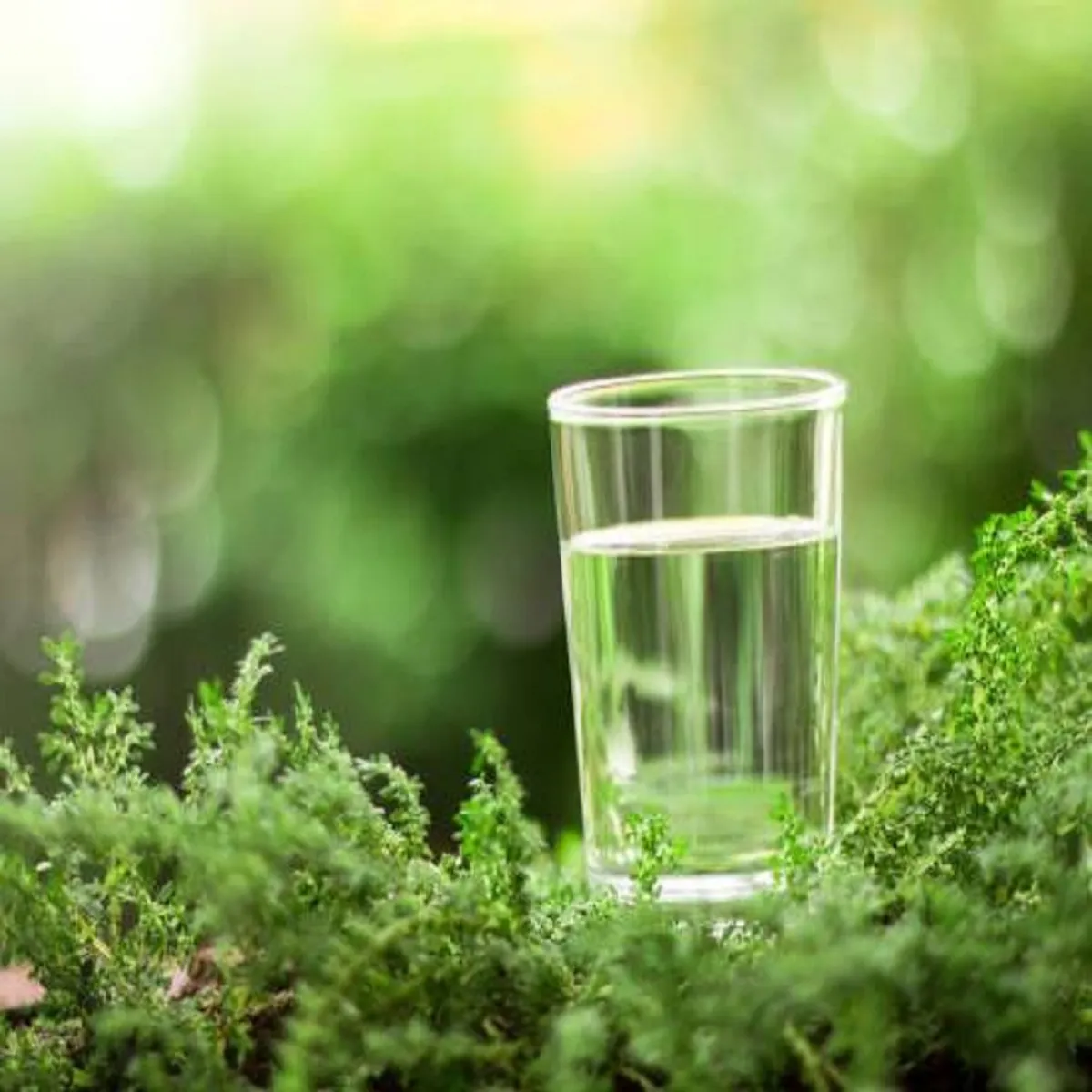 ماء الزعتر غني بالخصائص العلاجية (المصدر: Pexels )