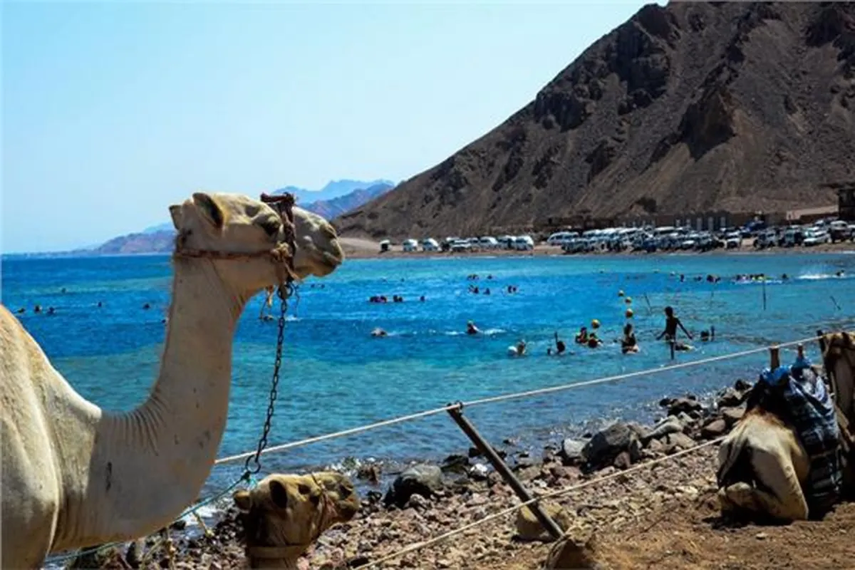 أين ستقضي عطلة عيد الفطر مع عائلتك؟