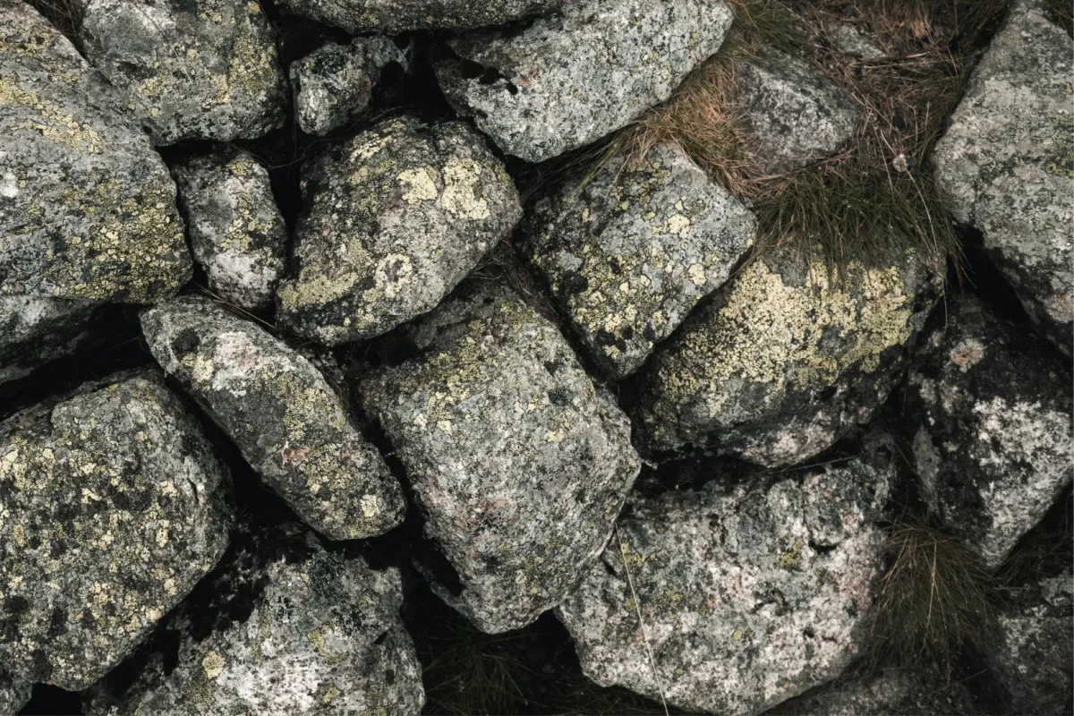  اكتشاف  لوحة عرض أثرية