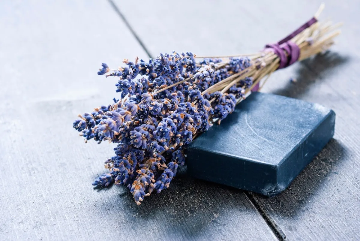 جمال العروس