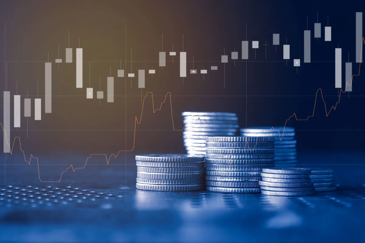 ما هي الأسهم؟