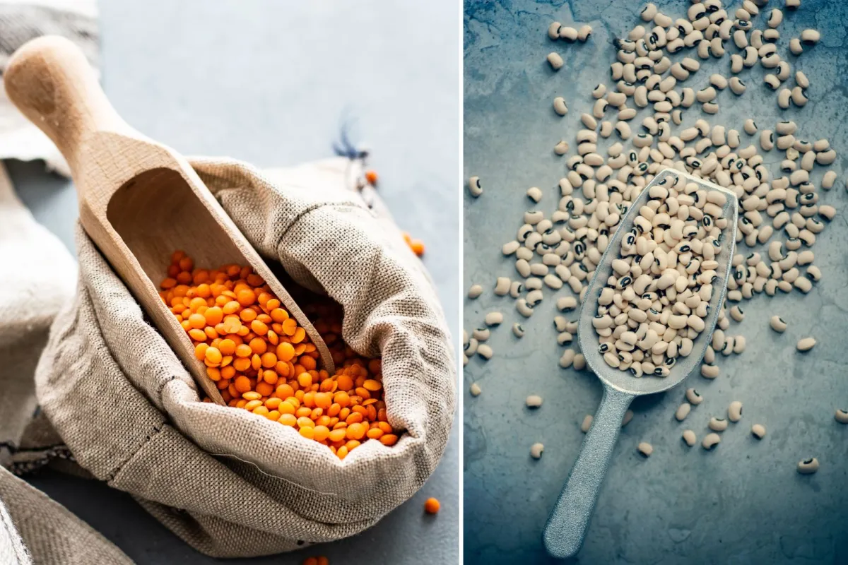 قسمة زكاة الفطر