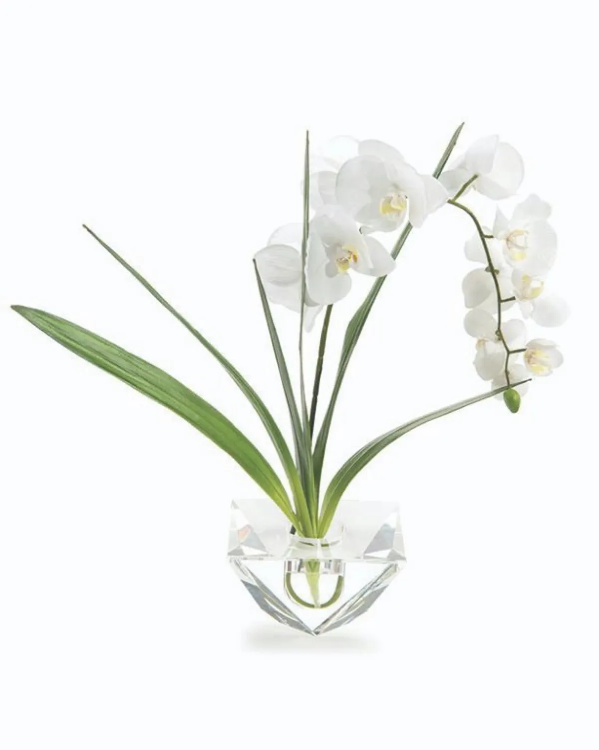 فازة للطاولة في الجلسة الخارجية