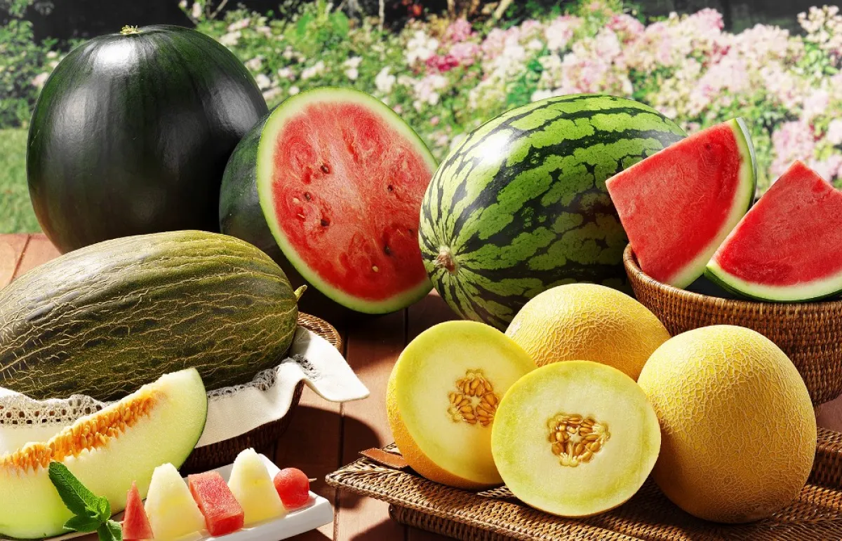 ما هي فوائد رجيم البطيخ والشمام؟