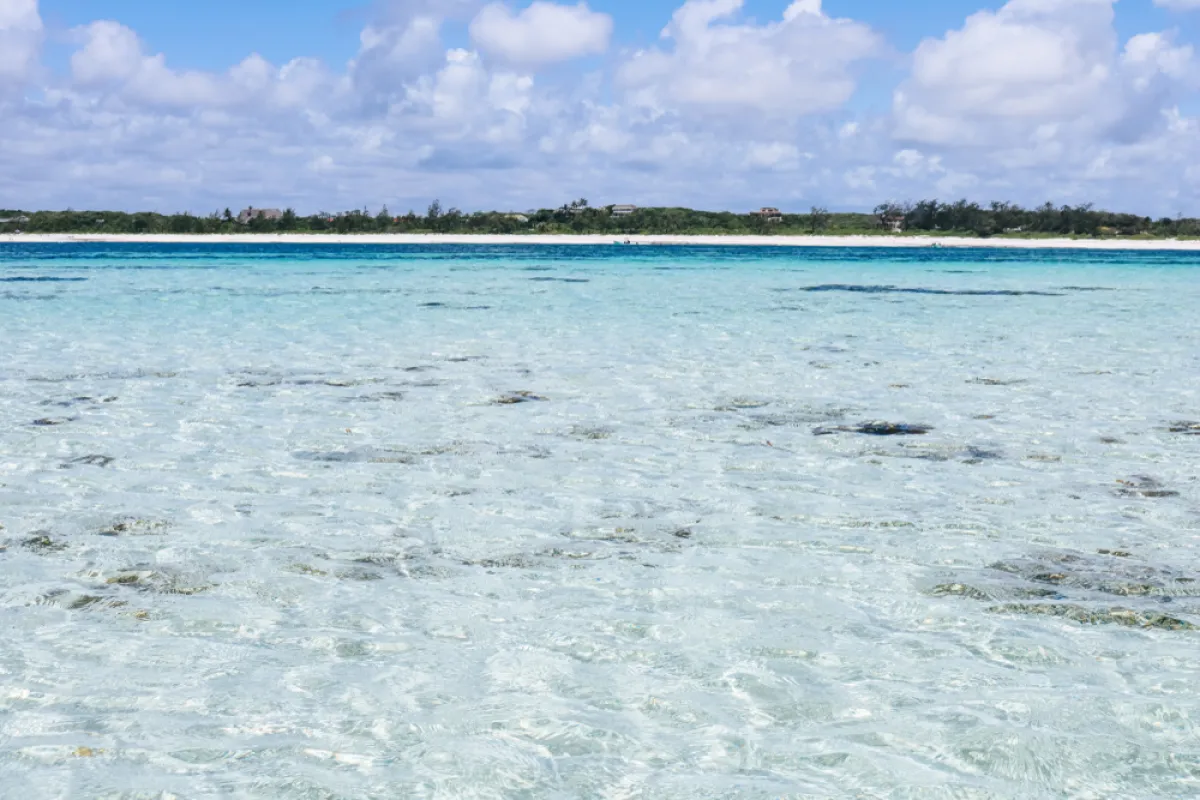 حديقة واتامو البحرية الوطنية 