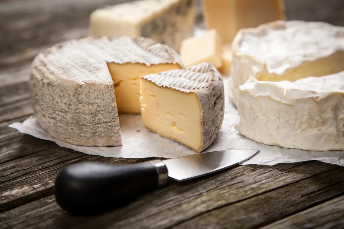 صورة الأجبان الطرية