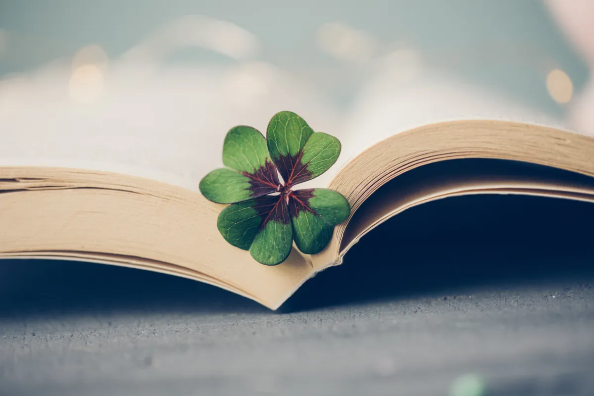 صورة تعبيرية عن الحياة