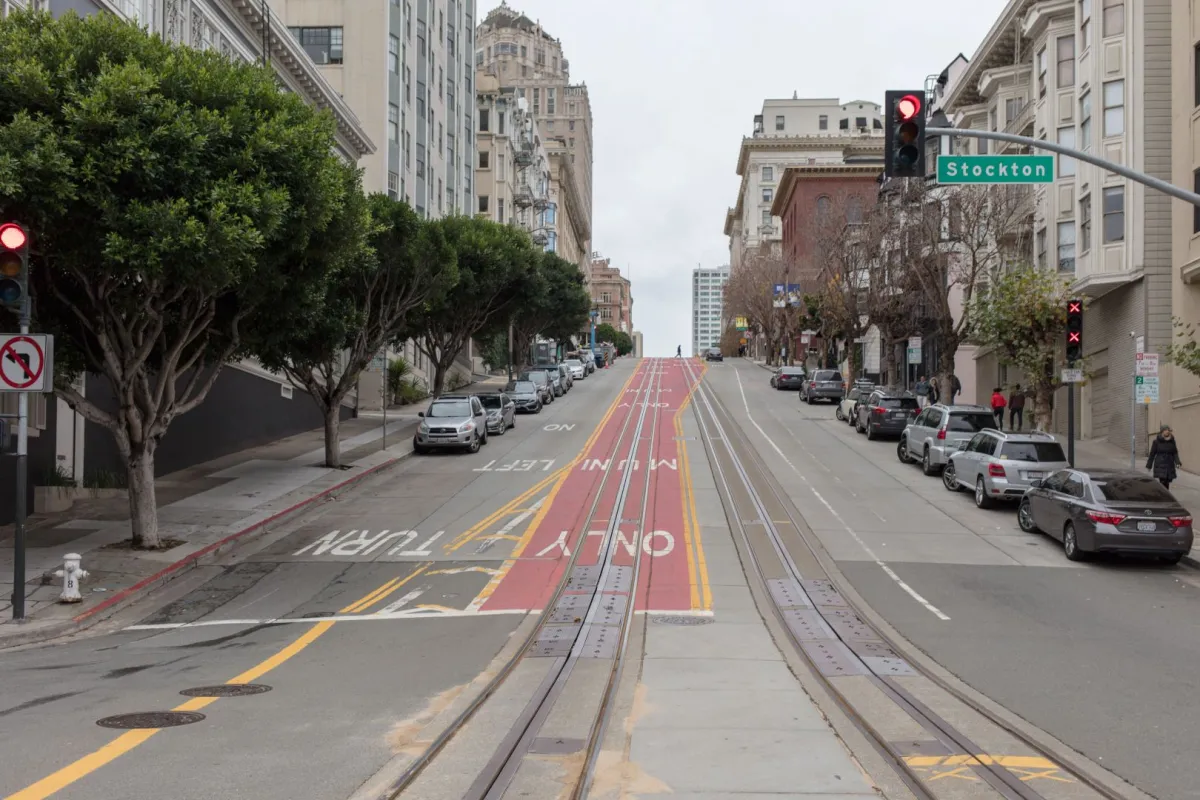 جرذان بحجم القطط تخيف سكان بلدة سياحية بريطانية