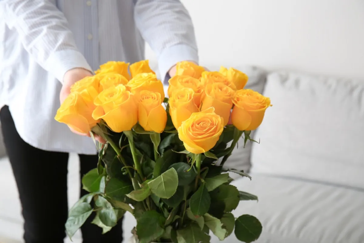 الورق النايلون اللاصق مسؤول عن عدم ذبول الأزهار.. كيف؟