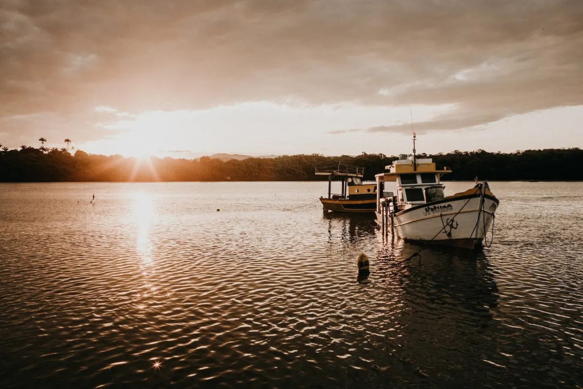 قصة زورق عمره ألف عام.. عُثر عليه في بحيرة أميركية