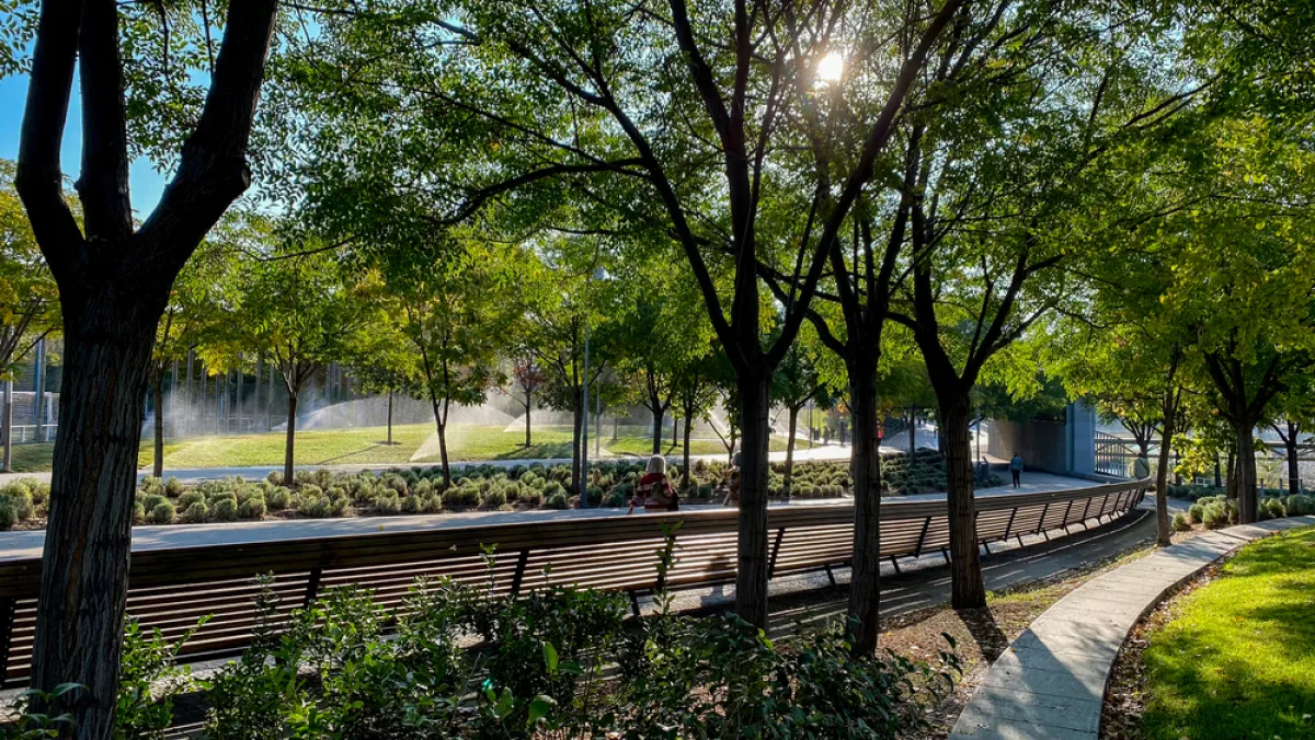 مدريد ريو بارك 