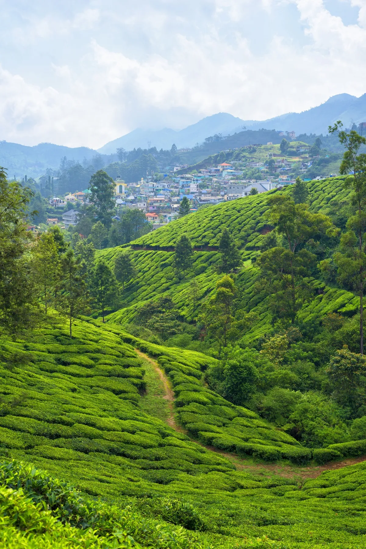 تقع مونار وسط المناظر الطبيعية البانورامية في ولاية كيرالا الهندية