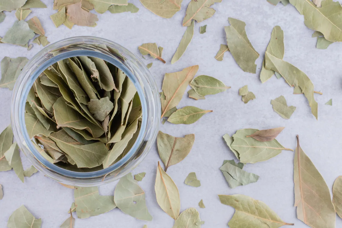 أضرار ورق الغار للتنحيف