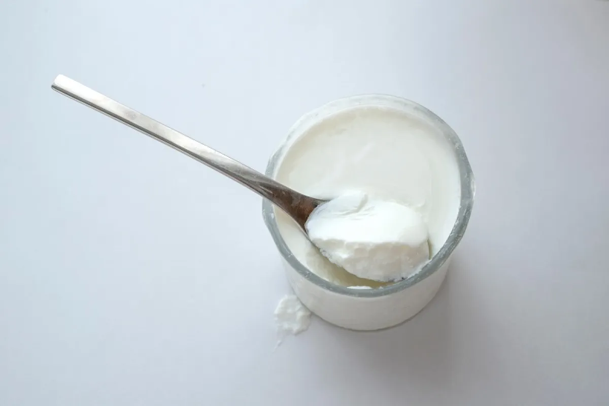 AdobeStockالزبادي يغذي البكتيريا النافعة ( المصدر: (