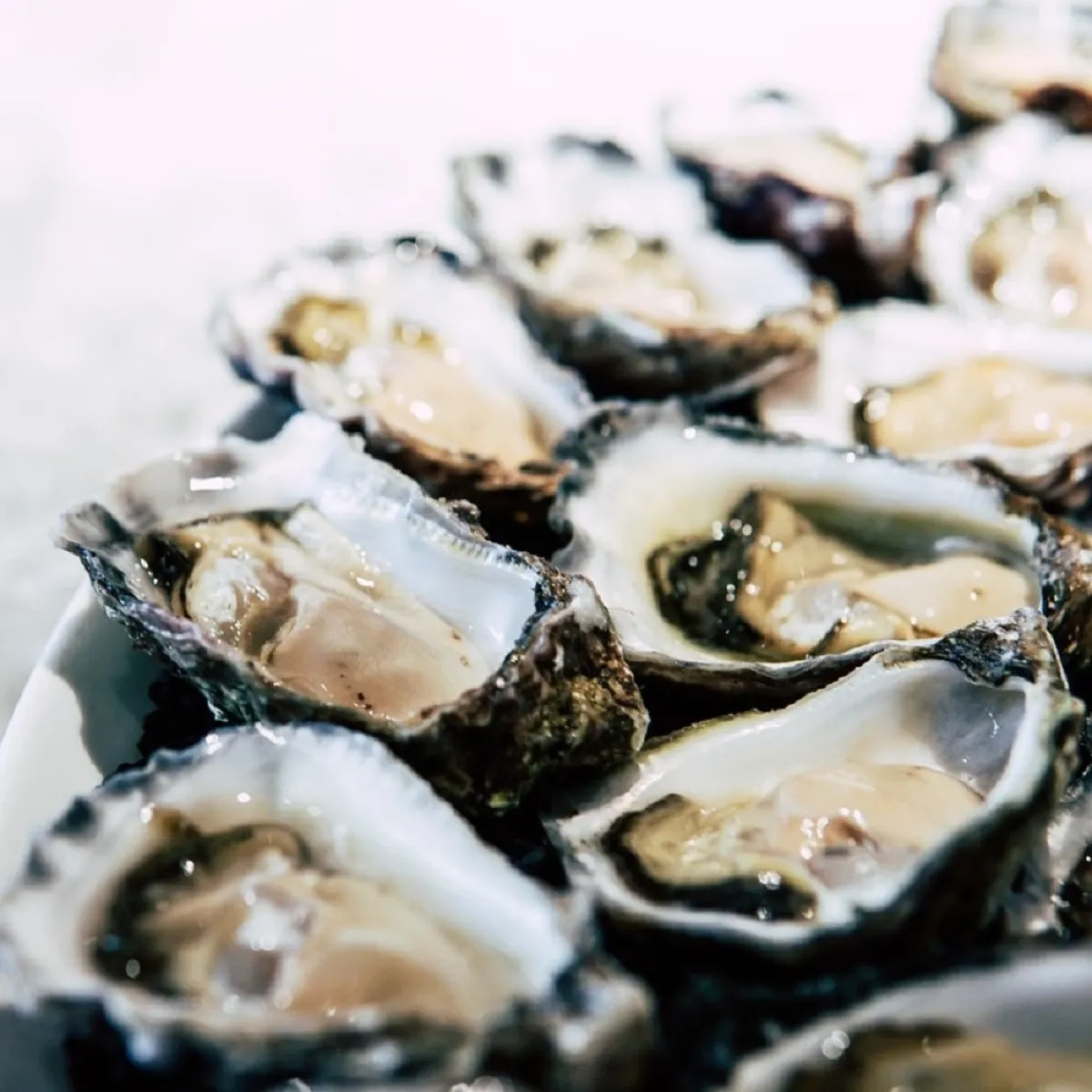 صورة لمأكولات بحرية نيئة