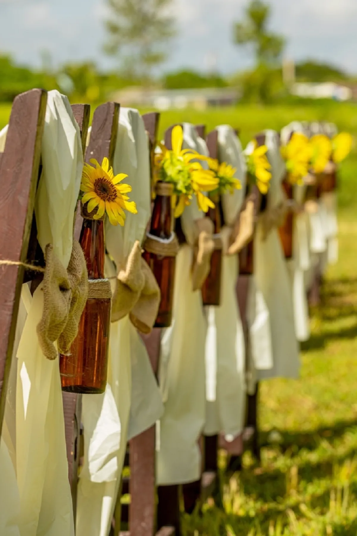 تزيين كراسي الحفل بزهور عباد الشمس