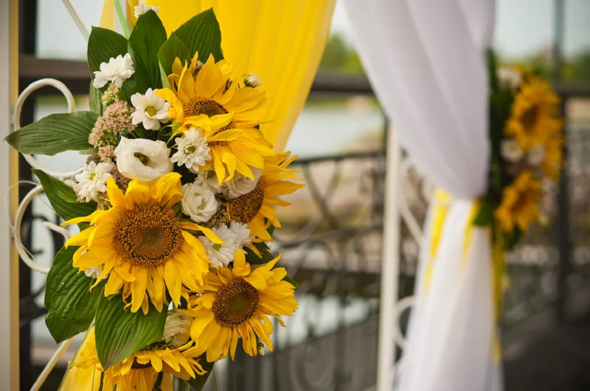 الزهور، ومنها دوار الشمس، لا تغيب عن تزيين الستائر في ديكور حفل الزفاف